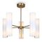 Потолочная люстра Freya Fiore FR5368CL-10BS