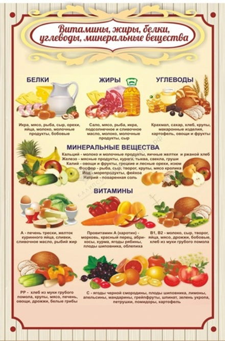 Стенд "Витамины жиры белки"