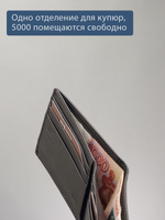 B250013R Castanho - Портмоне c RFID защитой MP