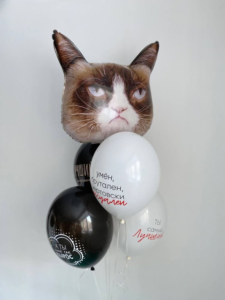 Воздушные гелиевые шары с приколами грустный кот №4635