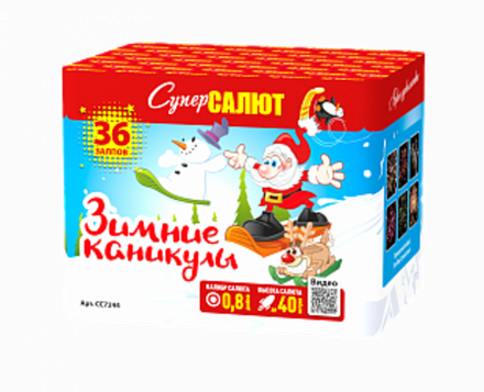 Зимние каникулы (36 залпов, калибр 0,8)