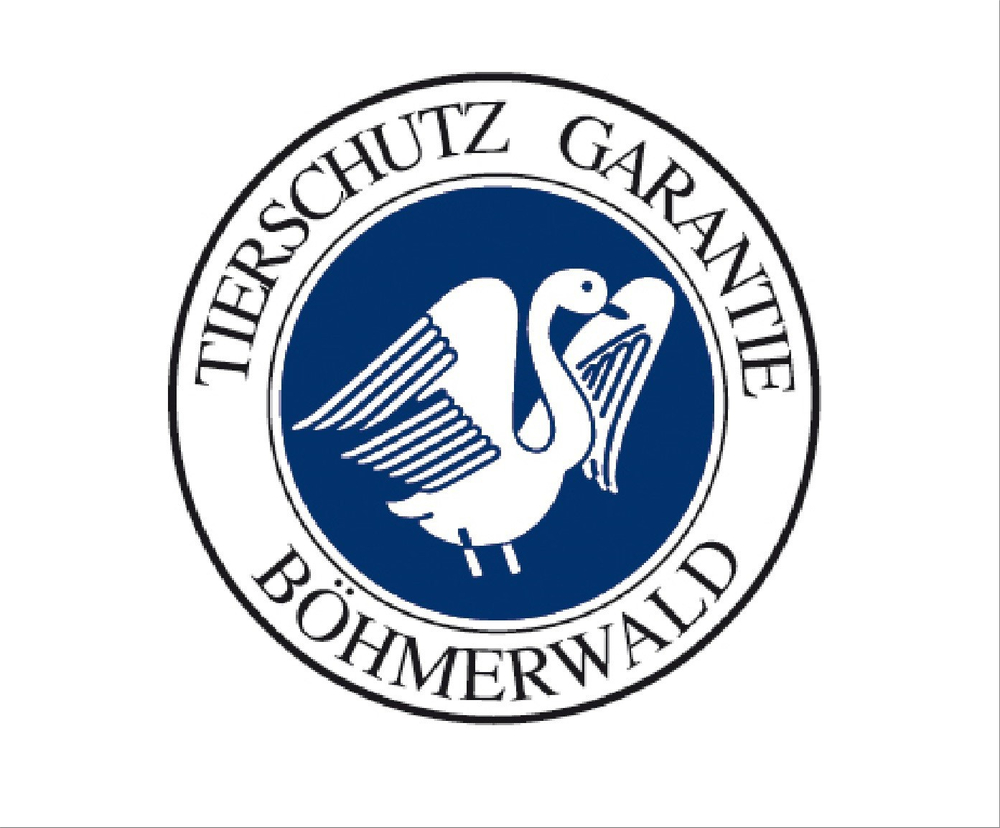 Одеяло кашемировое 155х200 Bohmerwald Cashmere