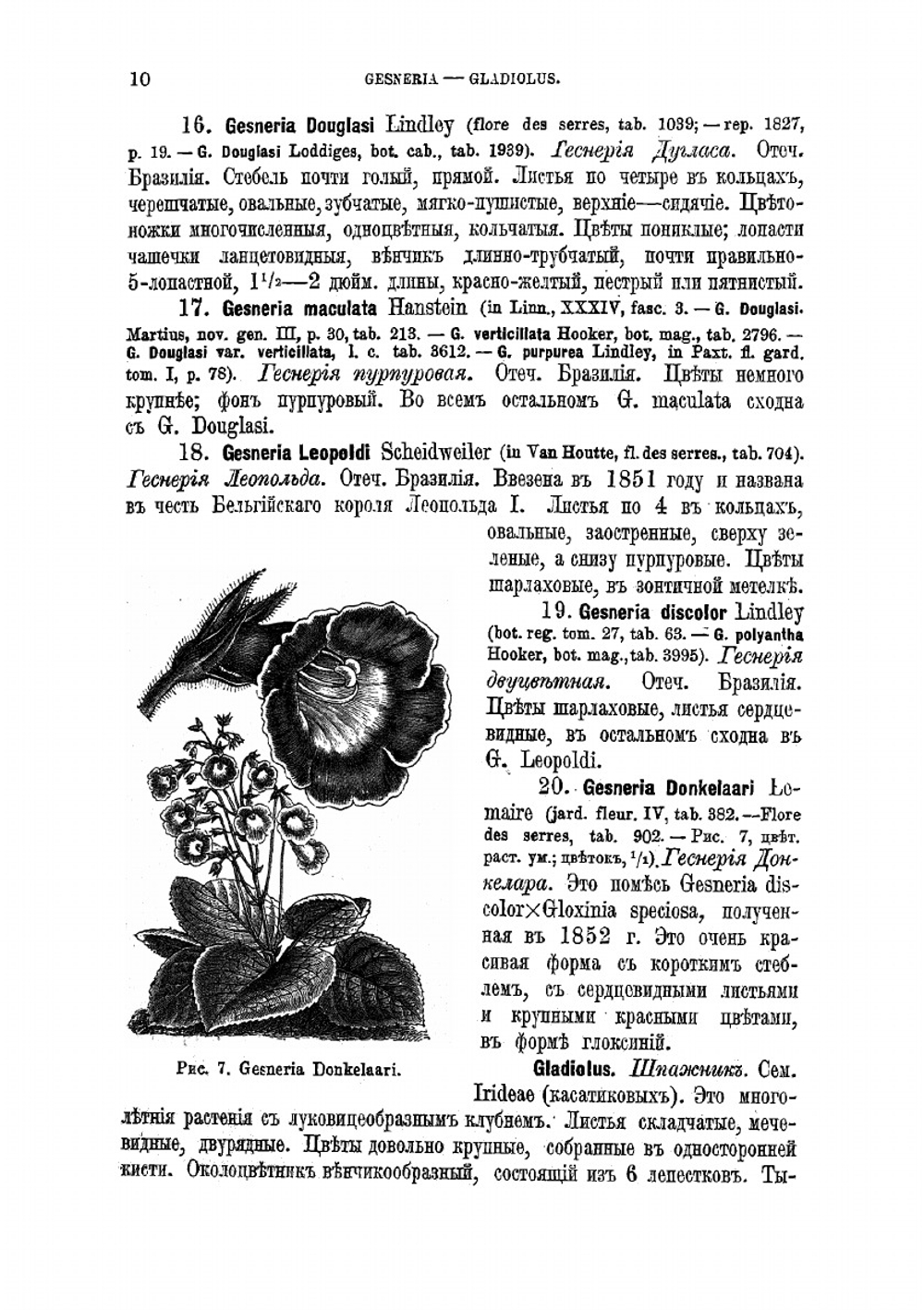Содержание и воспитание растений в комнатах. Часть 2, выпуск 2 | Р.Э. Регель