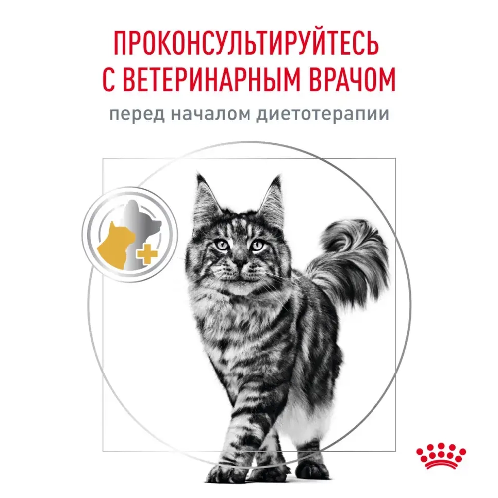 Royal canin urinary s/o moderate calorie сухой диетический корм для взрослых кошек, предрасположенных к набору веса, при мочекаменной болезни - 1,5 кг