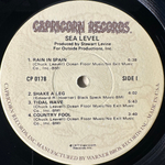 Sea Level ‎– Sea Level (США 1977г.)