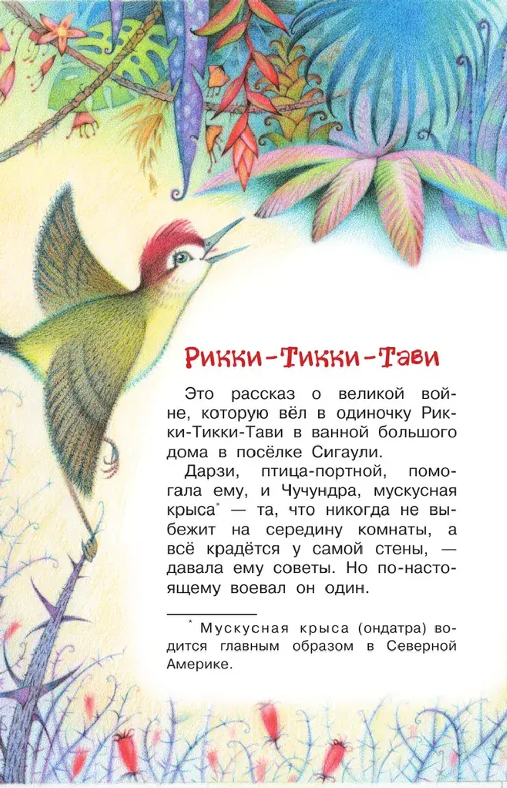 Рикки-Тикки-Тави. Сказки.