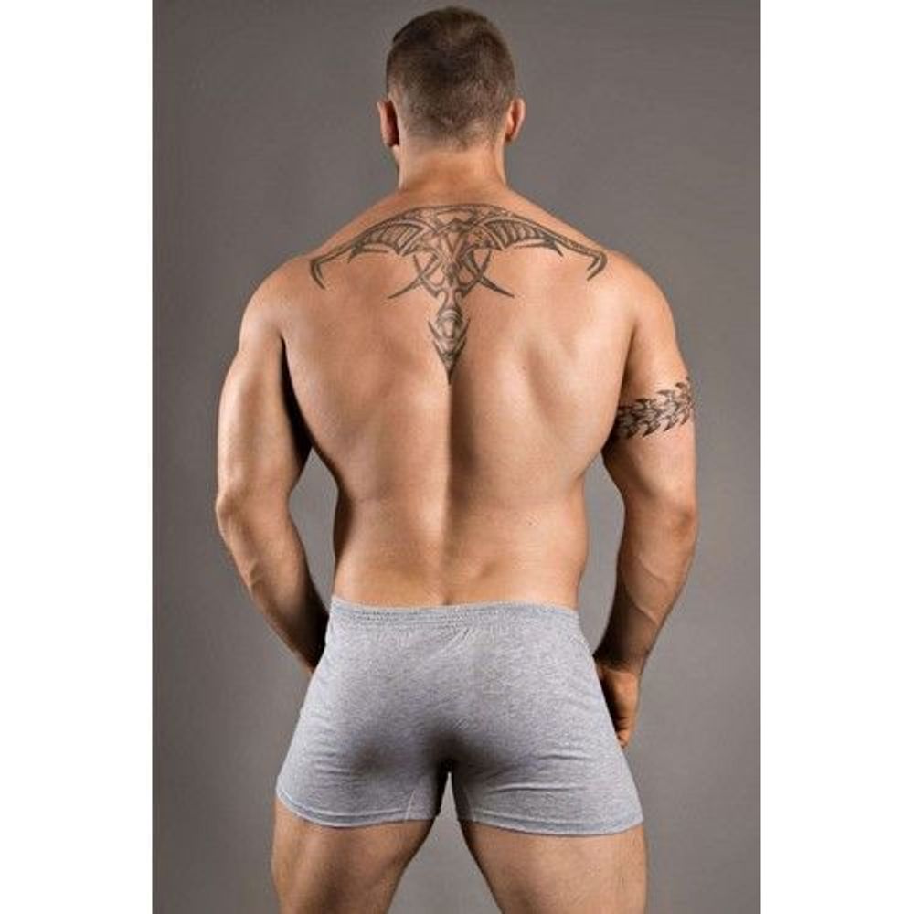 Мужские трусы боксеры хлопковые серые Doreanse 1511 Мужские трусы боксеры хлопковые серые Doreanse 1511