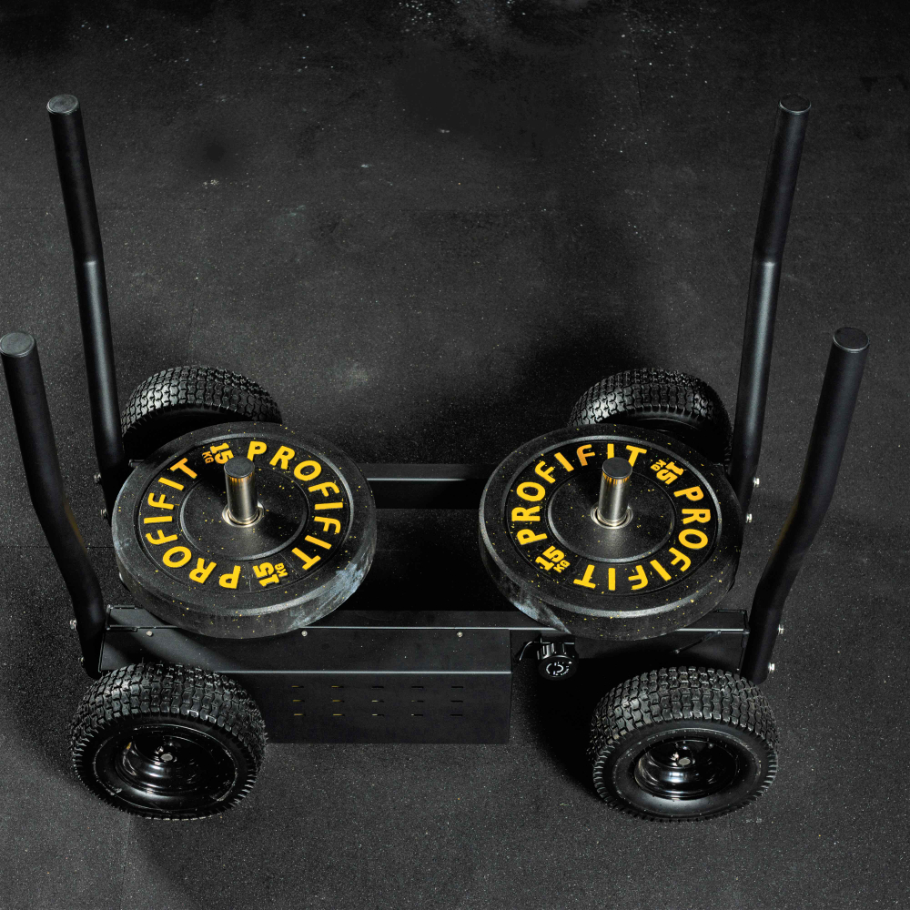 Сани-тележка для функционального тренинга ТАНГЕН