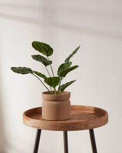 Кашпо Eglo Parkent 428149