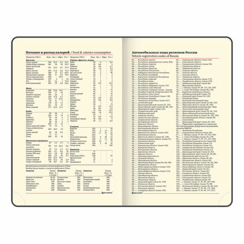 Ежедневник недатированный МАЛЫЙ ФОРМАТ 100x150 мм А6 BRAUBERG "Iguana", под кожу, 160 л., красный, 114468