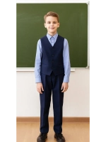 школьный костюм двойка для мальчика
