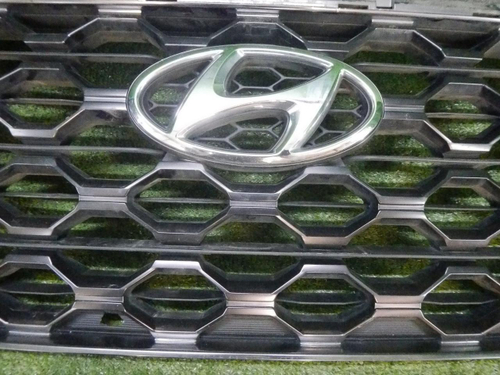 Решетка радиатора Hyundai Santa Fe 4 TM (2018-2021)