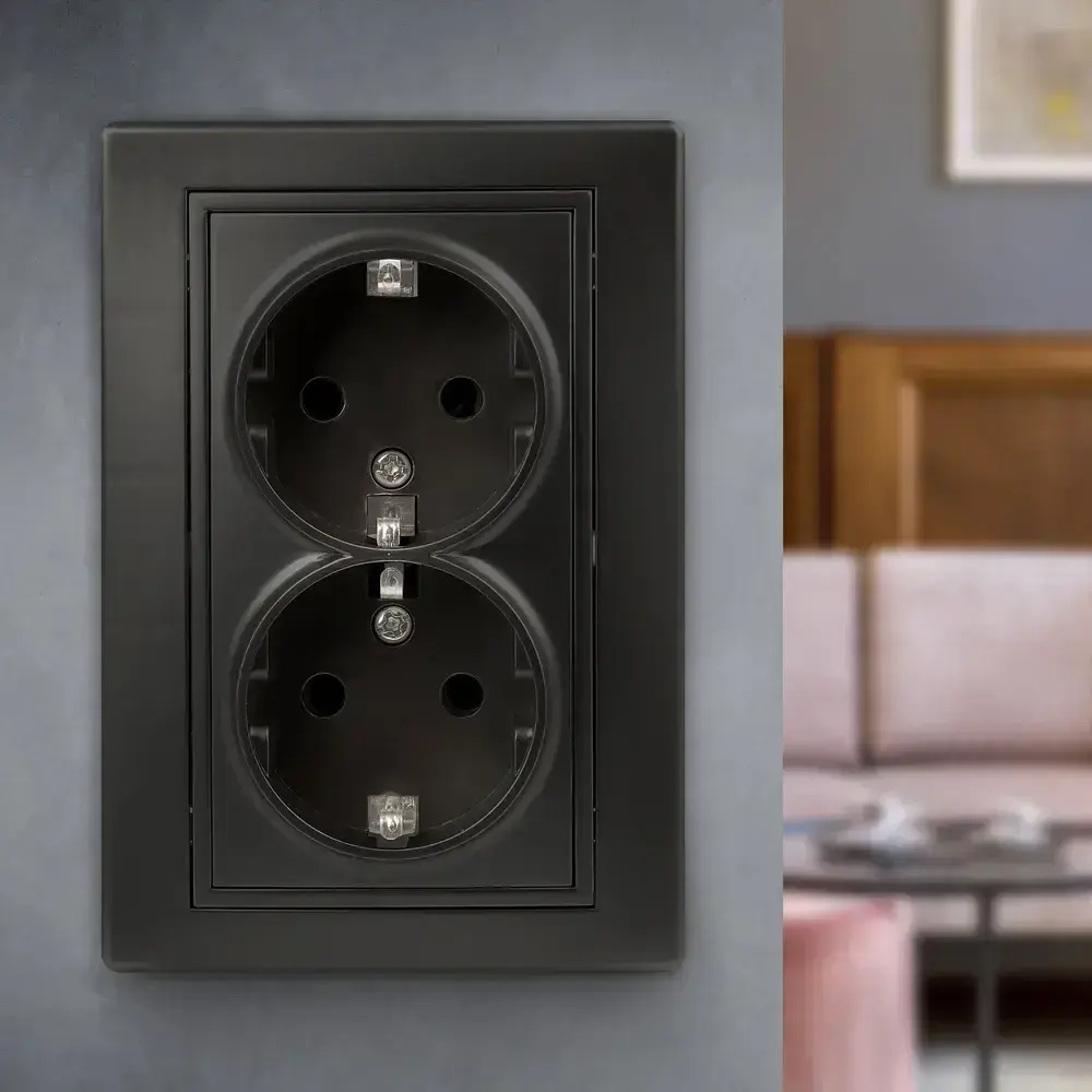 Розетка Intro Plano 1-205-05 с заземлением двойная 2X2P+E Schuko 16А-250В IP20 скрытой установки черный