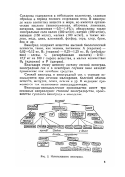 Виноградарство и виноделие | Негруль Александр Михайлович