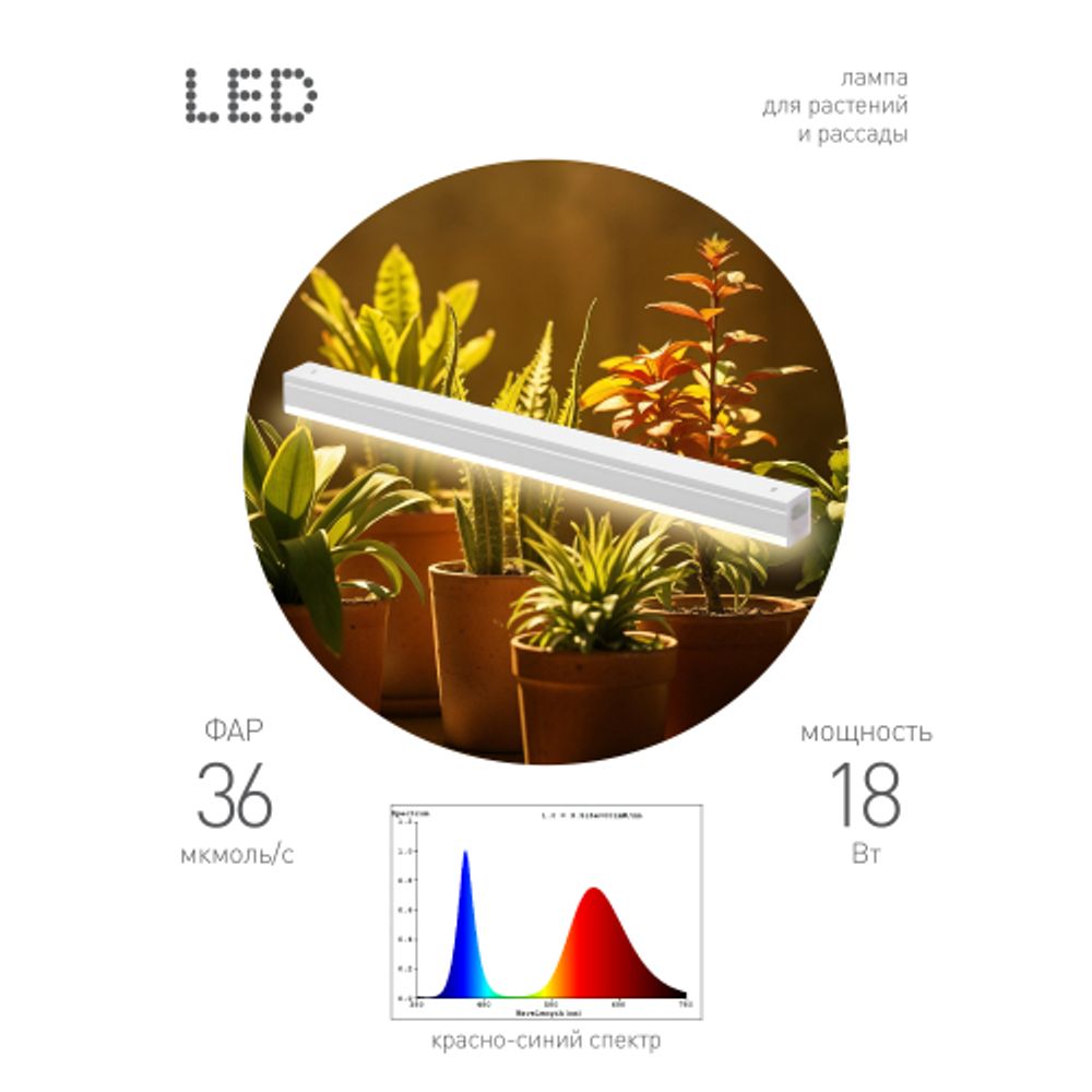 Светильник для растений, фитолампа светодиодная линейная ЭРА FITO-18W-PL-LINE 573-GR красно-синего спектра 18 Вт Т5