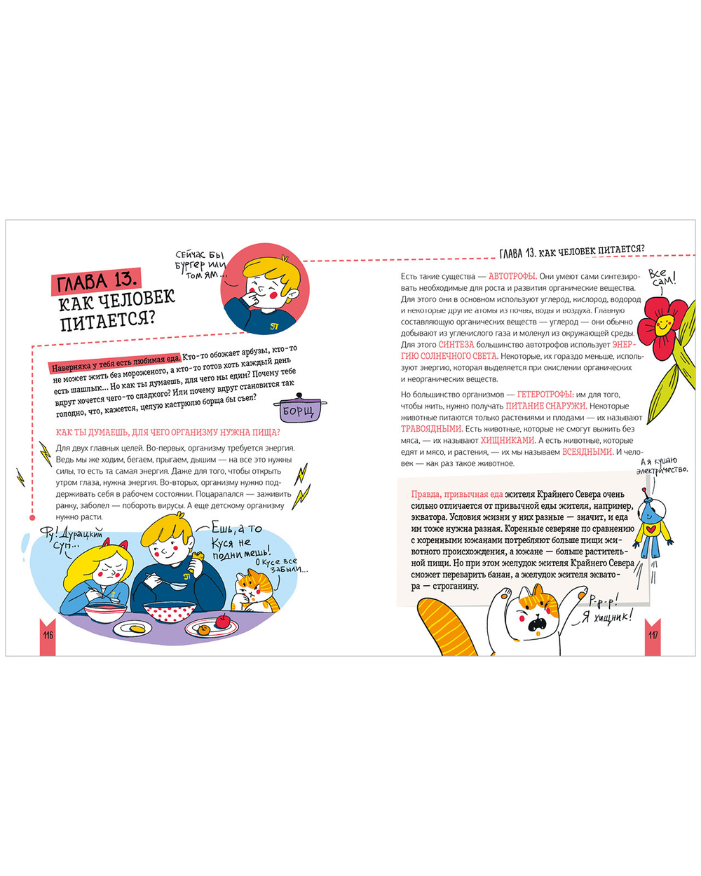 Детская научная книга. Как устроен человек?