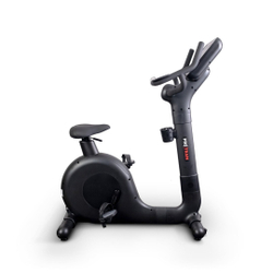 Велотренажер Protrain A-1200G, вертикальный