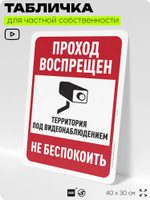 Табличка для частной территории "Проход воспрещен", на дом, для участка, организаций и частных территорий, предупреждающая, 40х30 см, Silver Plane x Айдентика Технолоджи