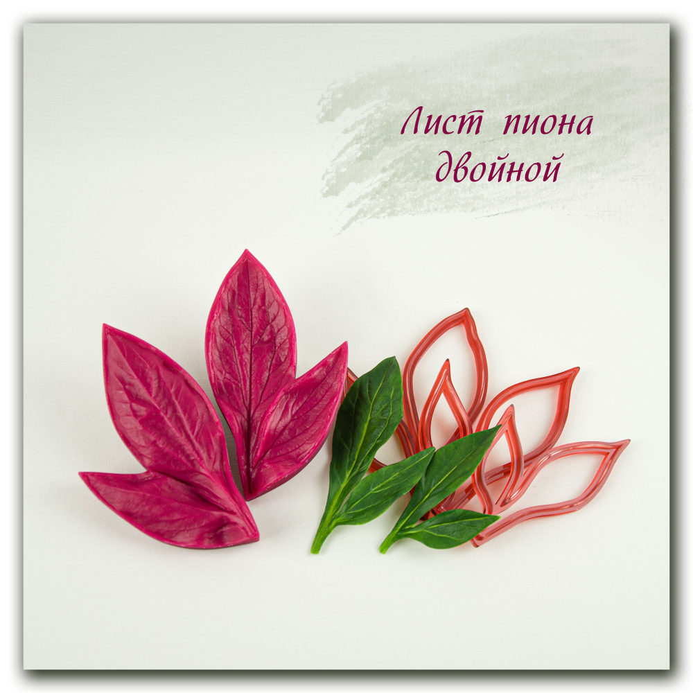 вайнер и каттеры листа пиона