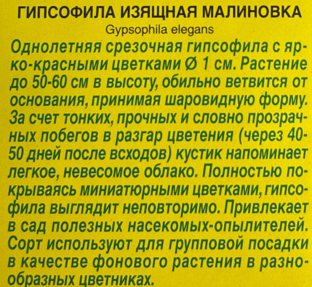 Гипсофила изящная Малиновка СМЦ-964