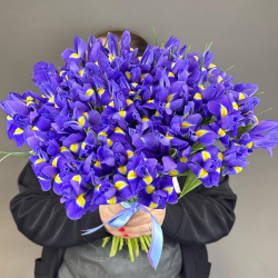 Букет синих ирисов