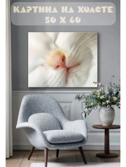 Картина на стену 40 X 50 Белый кот
