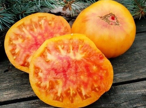 Русалка / Mermaid