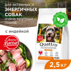Корм сухой для взрослых собак очень крупных пород, премиум полнорационный комплекс, для активных и энергичных собак, с индейкой, 2,5 кг, QUATTRO