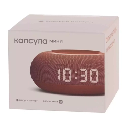 Умная колонка VK Капсула Мини MRC02PK Маруся Терракотовый, 5W,1.0, BT