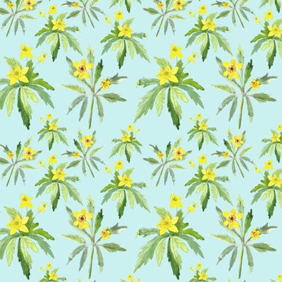 Весенние цветы. Ветреница на бирюзовом фоне.