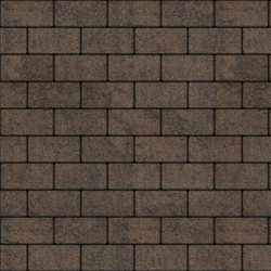 Тротуарная плитка ПРЯМОУГОЛЬНИК 200x100 мм - Листопад гранит Шелковица