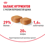 Royal Canin Yorkshire Terrier Puppy Йоркширский Терьер Паппи Корм сухой для щенков породы Йоркширский Терьер до 10 месяцев 500г