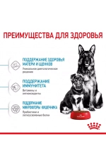 MAROYL CANIN XI STARTER MOTHER & BABYDOG 1-2months PRO (РОЯЛ КАНИН МАКСИ СТАРТЕР МАЗЕ ЭНД БЭБИДОГ 1-2 месяца корм сухой для собак Maxi Starter 18 кг.