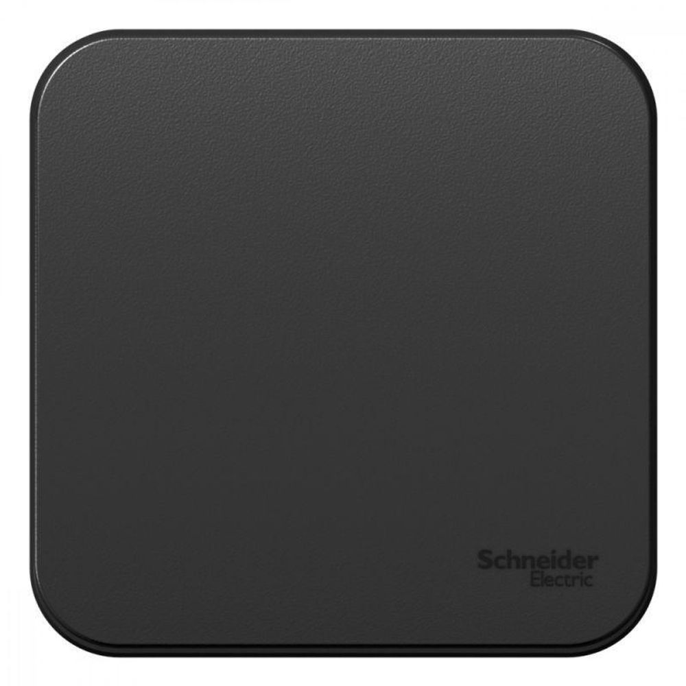 Выключатель 1-кл. ОП Blanca 10А IP20 (сх. 1) 250В антрацит SE BLNVA101006