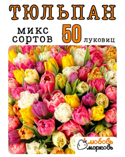 Тюльпан Луковица, Микс сортов, 50 шт (Любовь морковь)