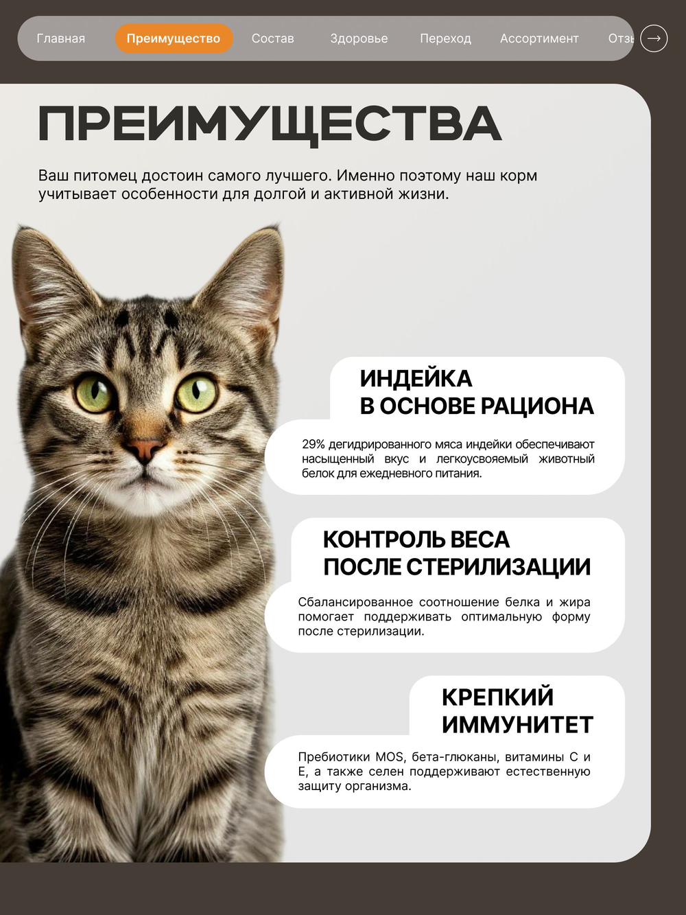Корм сухой для стерилизованных кошек всех пород, с индейкой, 5 кг, QUATTRO