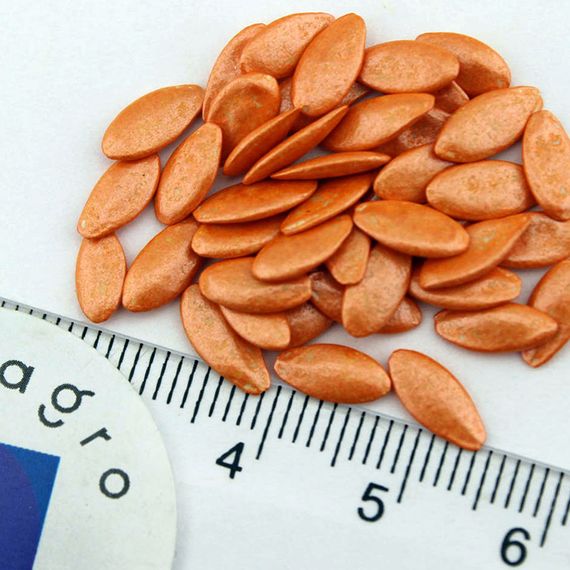 ПЛАТИНА F1 семена огурца Nunhems цена