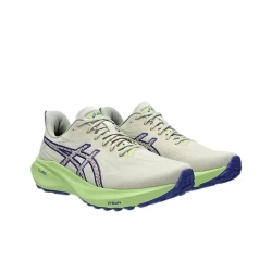 Мужские кроссовки ASICS GT-2000 13 TR 'Nature Bathing Lime Green' 1011C042-300