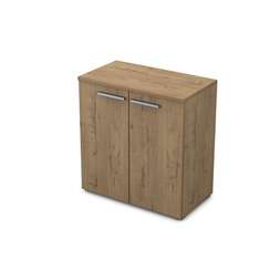 9Ш.023.1 Шкаф низкий (800*450*845)