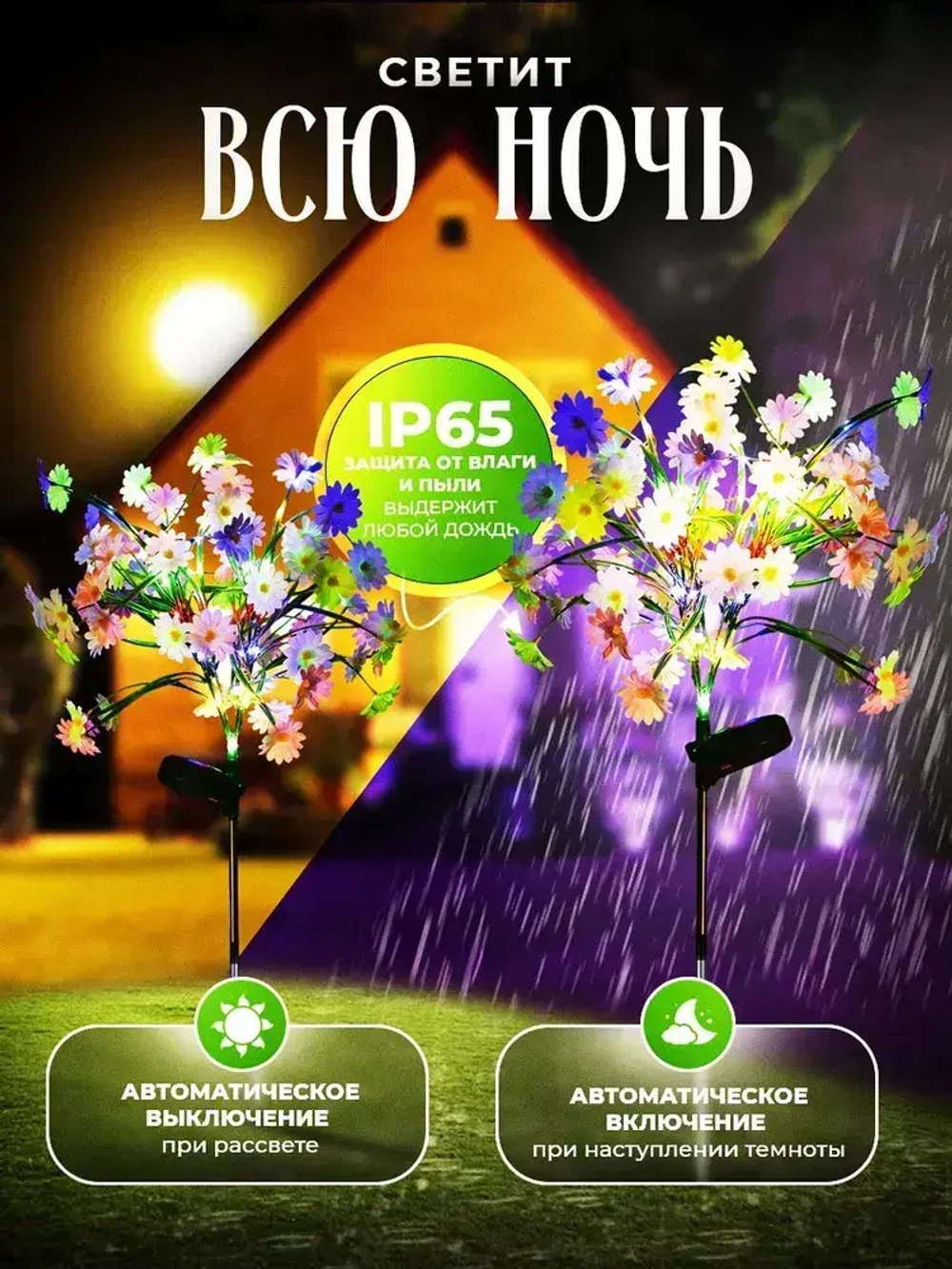 Садовые ромашки на солнечной батарее