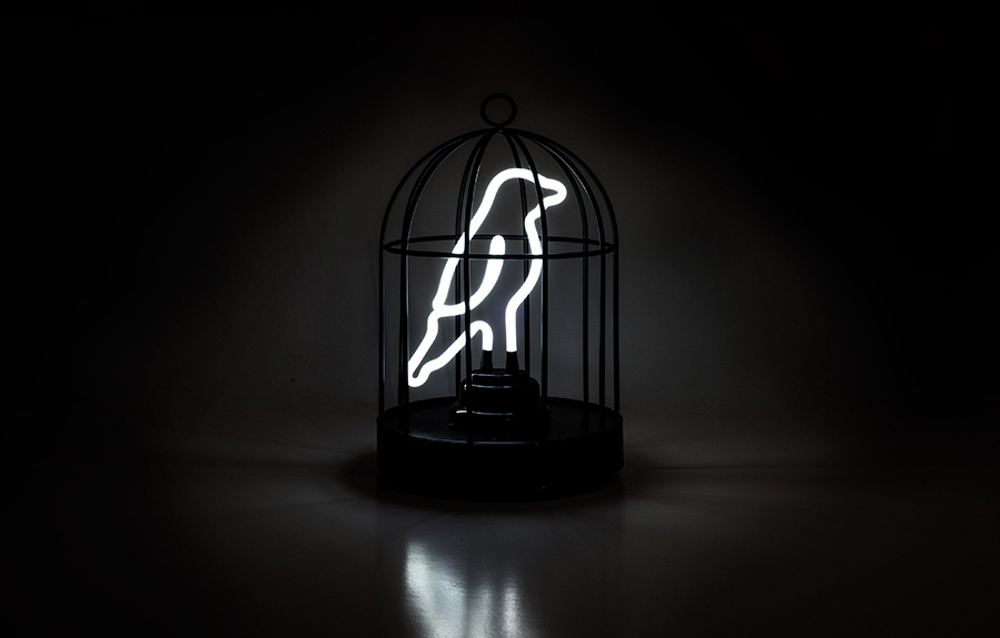 Светильник неоновый bird in a cage