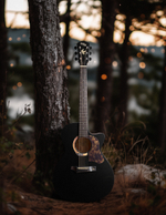 Акустическая гитара Gopherwood i232RC Midnight Dust