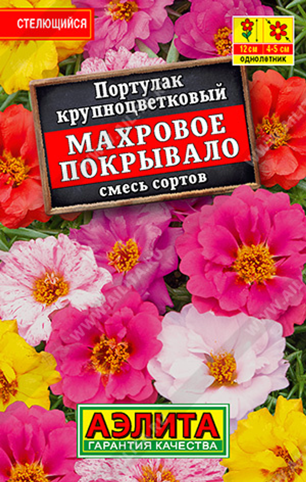 Портулак Махровое покрывало, смесь сортов
