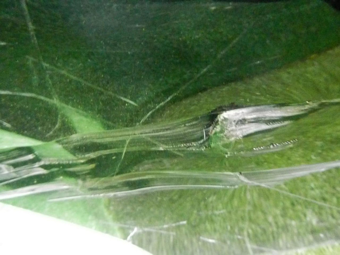 DSCN2652.jpg