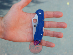 Нож Spyderco Delica BLU C11FBLM
