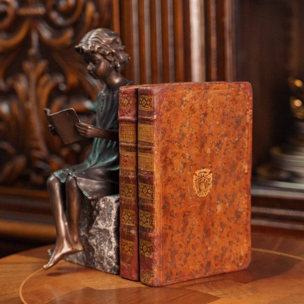 Антикварное издание на французском языке: «История Российской Империи при Петре Великом»