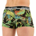Мужские трусы боксеры с принтом  DARKZONE DZN1510