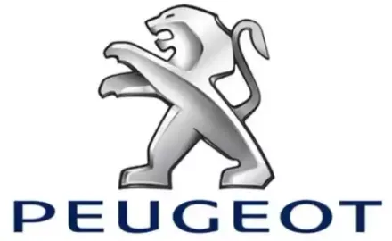 Чехлы на Peugot 4007