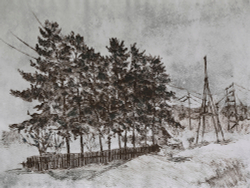 Коллекция Пейзаж