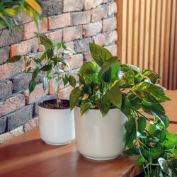 Горшок для цветов пластмассовый "Линель" 4,5л, д19см, h19см, со вставкой, белый